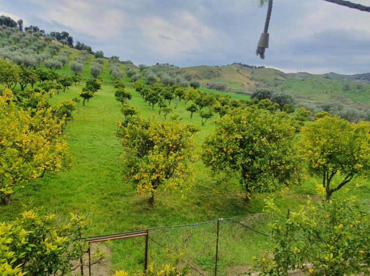 Terreno agricolo in vendita, Strada Statale 107 Silana Crotonese, Iannello, Crotone