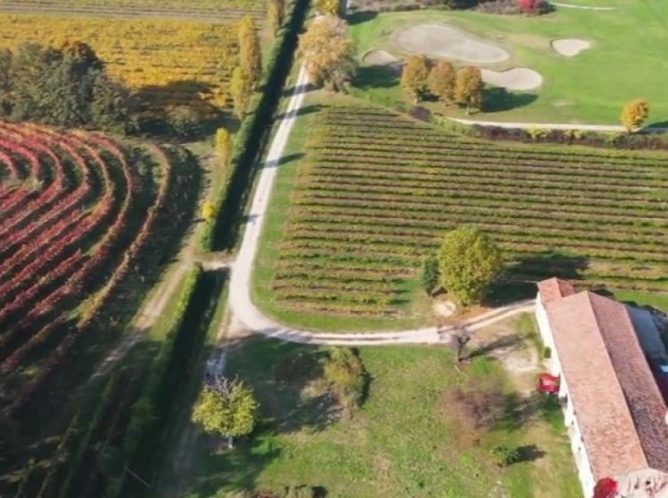 Casa colonica in vendita, via Montecchia  101, Feriole, Selvazzano Dentro