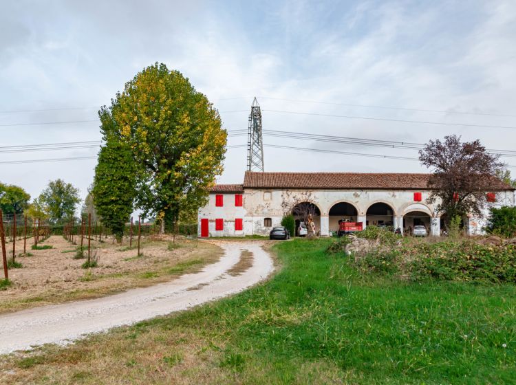 Casa colonica in vendita, via Montecchia  101, Feriole, Selvazzano Dentro