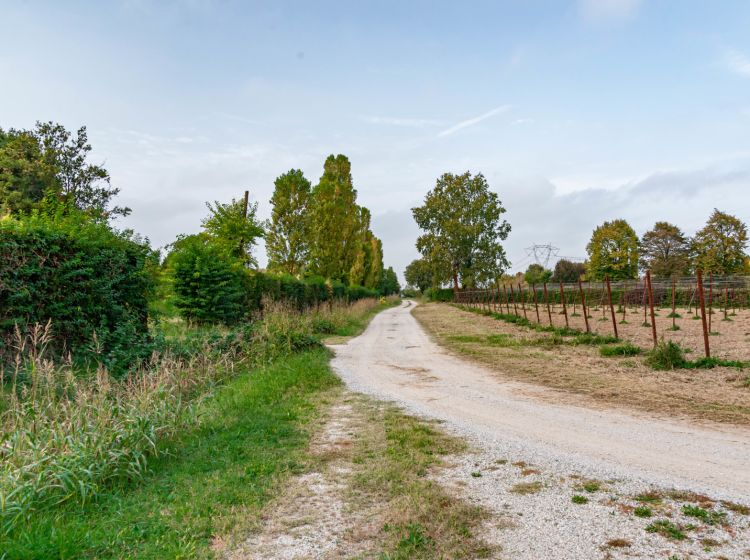 Casa colonica in vendita, via Montecchia  101, Feriole, Selvazzano Dentro