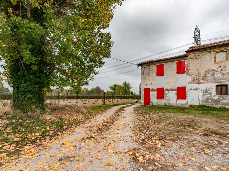 Casa colonica in vendita, via Montecchia  101, Feriole, Selvazzano Dentro