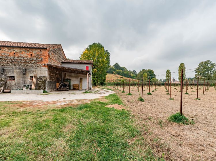 Casa colonica in vendita, via Montecchia  101, Feriole, Selvazzano Dentro