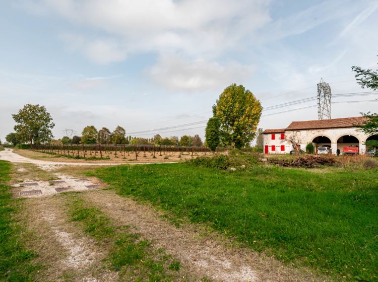 Casa colonica in vendita, via Montecchia  101, Feriole, Selvazzano Dentro