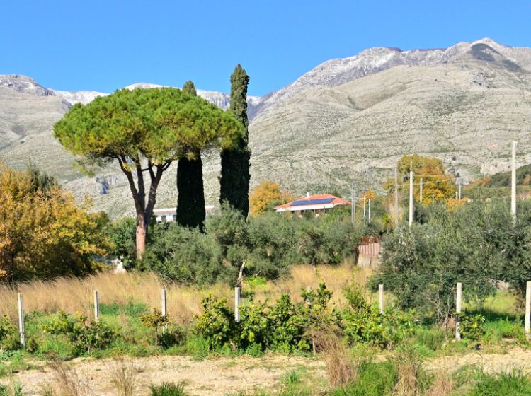 Stabile o palazzo in vendita, Contrada Farano, Castellonorato, Formia