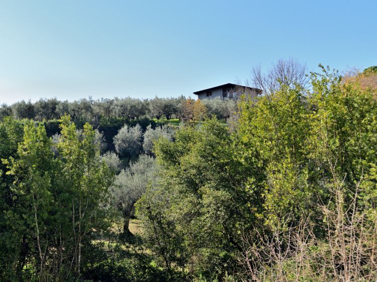 Stabile o palazzo in vendita, Contrada Farano, Castellonorato, Formia