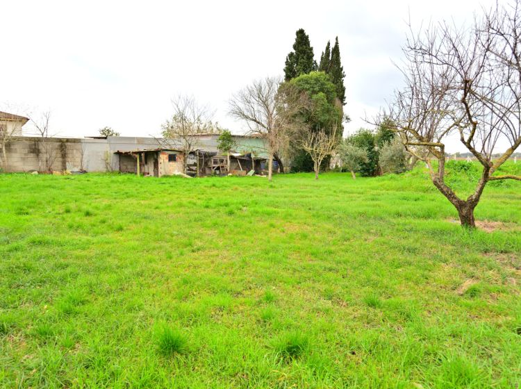 Bilocale in vendita, Strada Trasversale  39, Borgo San Michele, Latina