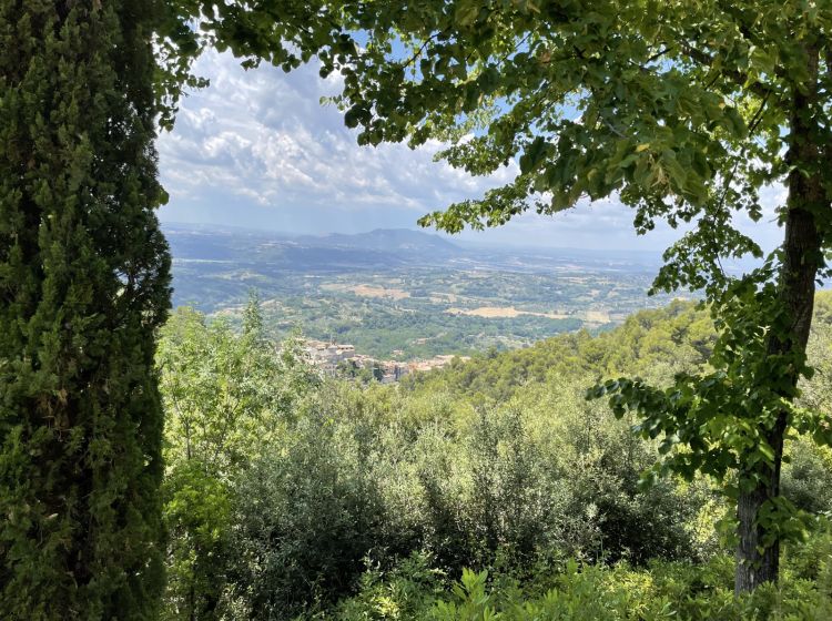 Villa in vendita, via Pineta  11, Catino, Poggio Catino