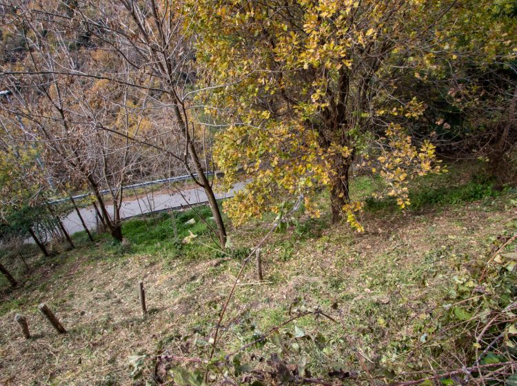 Trilocale in vendita, via Onofrio Colace  60, Sant'Elia, Catanzaro