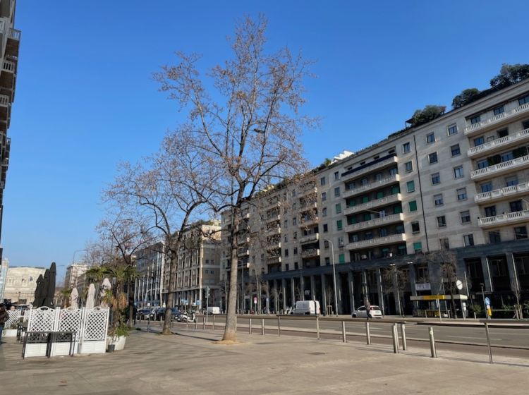 Negozio in affitto, via Leopoldo Marangoni  9, Centrale, Milano