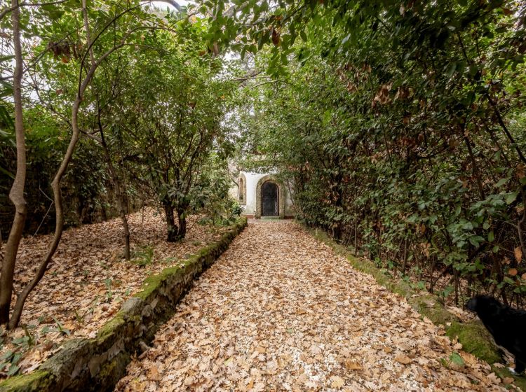 Stabile o palazzo in vendita, Riano