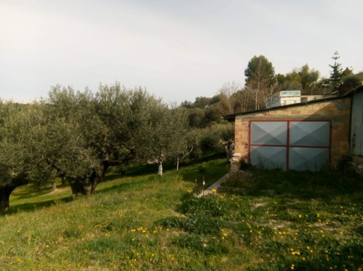 Terreno residenziale in vendita, Strada Vicinale Valle Ferzetti, Ospedale, Pescara