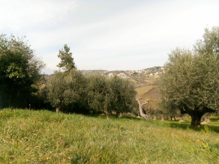 Terreno residenziale in vendita, Strada Vicinale Valle Ferzetti, Ospedale, Pescara