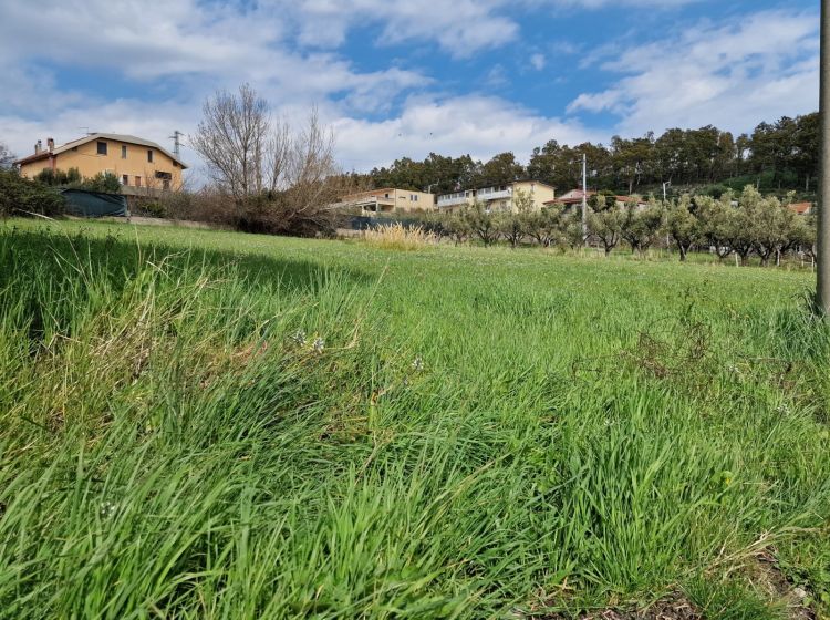 Terreno residenziale in vendita, via degli Svevi, Sala, Catanzaro