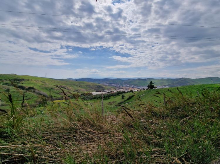 Terreno residenziale in vendita, via degli Svevi, Sala, Catanzaro