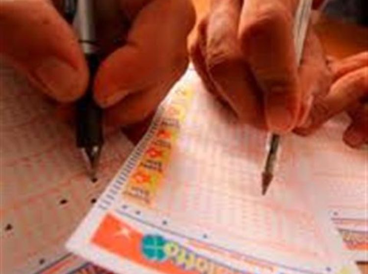 Attività / Licenza in vendita, Vigodarzere