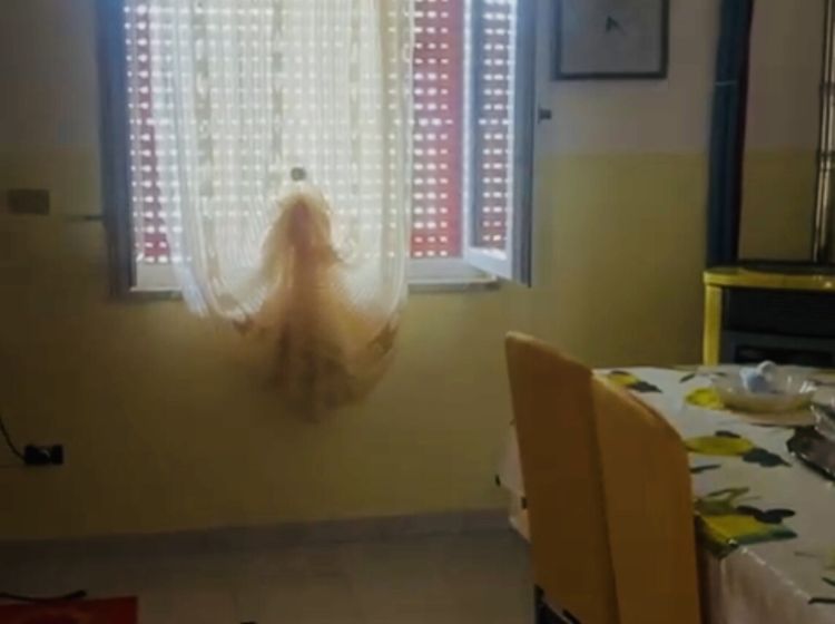 Bilocale in vendita, via Mirabella 10, Foria, Centola
