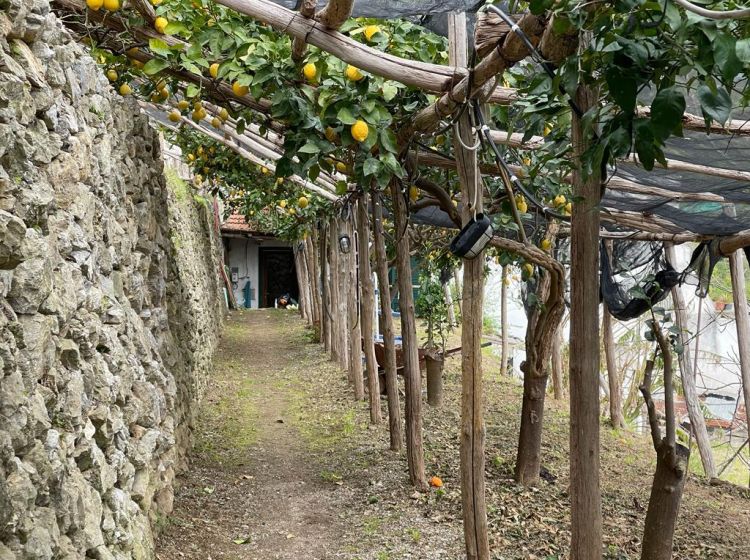 Rustico in vendita, via Santa Croce 11, Torello, Ravello