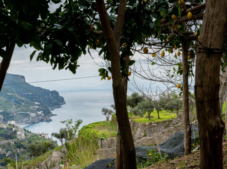 Rustico in vendita, via Santa Croce 11, Torello, Ravello