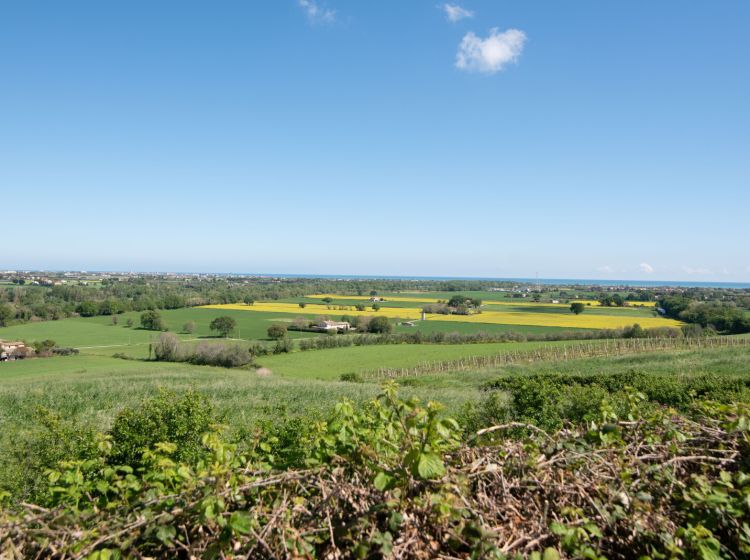 Casale in vendita, Strada delle Caminate  58, Fano