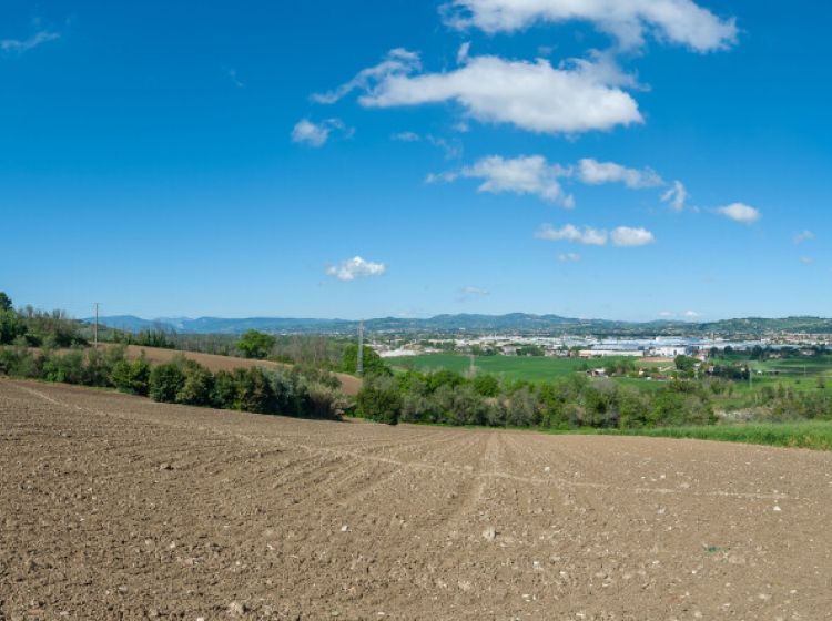 Casale in vendita, Strada delle Caminate  58, Fano