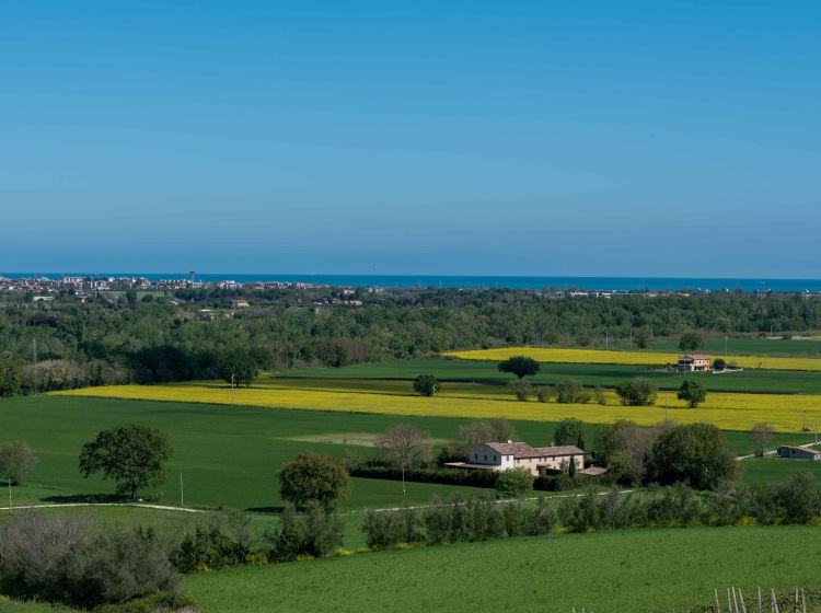 Casale in vendita, Strada delle Caminate  58, Fano