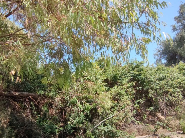 Terreno residenziale in vendita, Strada senza nome  Brucoli  Augusta (SR), Augusta