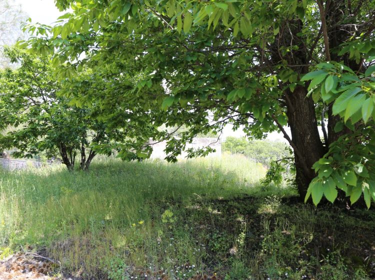 Rustico in vendita, Strada Provinciale 92, Belpasso