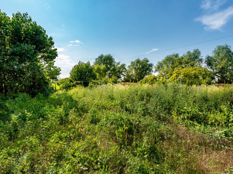 Villa in vendita, Sacro Cuore, Padova