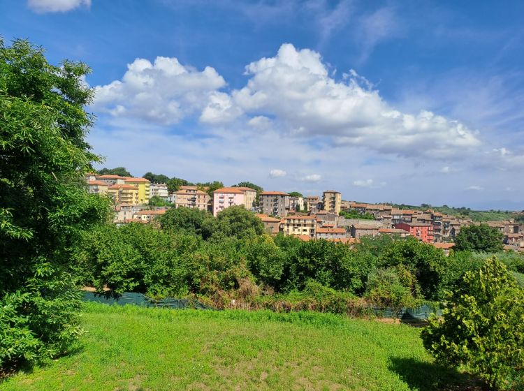 Quadrilocale in vendita, via dei Castagni  102, Vignanello