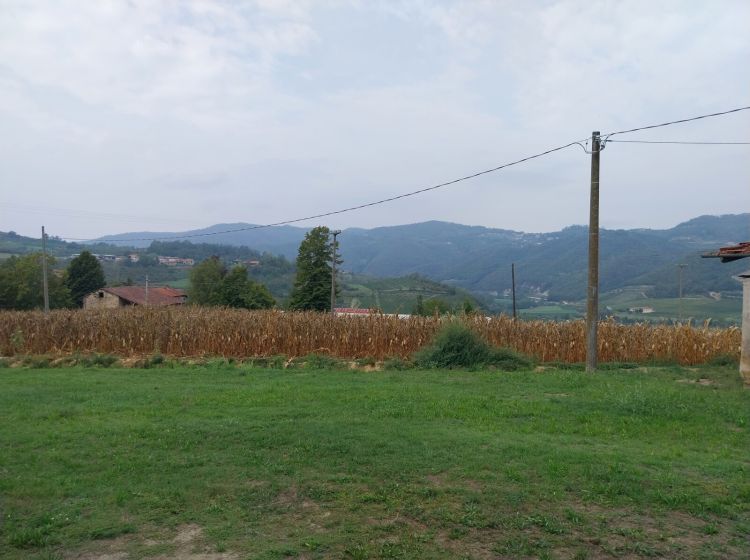 Cascina in vendita, Regione San Eusebio 2, San Giorgio Scarampi