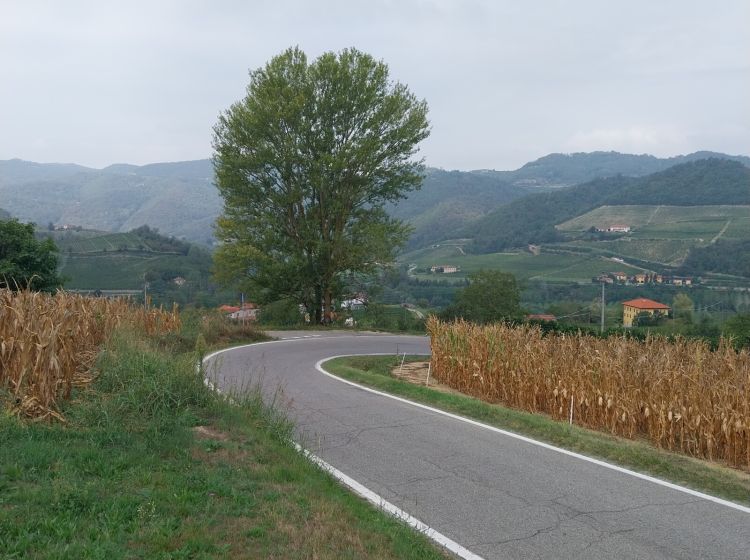 Cascina in vendita, Regione San Eusebio 2, San Giorgio Scarampi