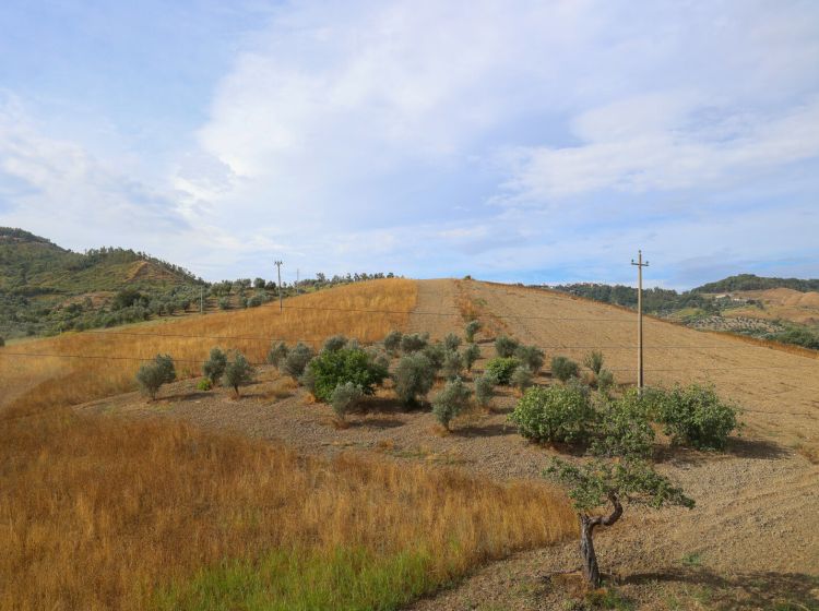 Quadrilocale in vendita, via Martiri di Nassirya, San Floro