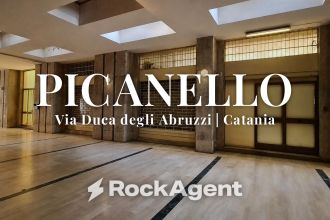 Magazzino o deposito in vendita, via Duca Degli Abruzzi  54, Picanello, Catania