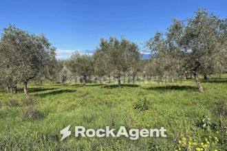 Terreno agricolo in vendita, Contrada Santa Lucia, Cerrelli, Altavilla Silentina
