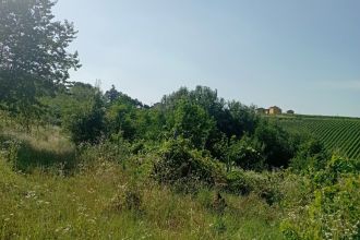 Terreno agricolo in vendita, Frazione Camporello 7/8, San Damiano Al Colle
