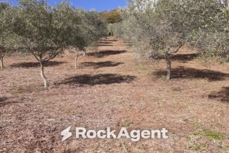 Terreno agricolo in vendita, Contrada Mortella, Serramonda, Marcellinara