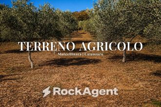 Terreno agricolo in vendita, Contrada Mortella, Serramonda, Marcellinara