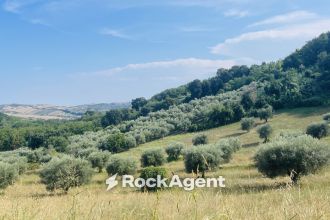 Terreno agricolo in vendita, via Sotto il Loco, Case Alte, Sant'omero