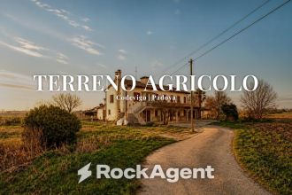 Terreno agricolo in vendita, via Bosco  29, Codevigo