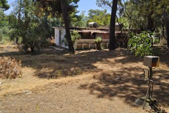 Stabilimento balneare in vendita, Strada Statale 106 Jonica, Casignana