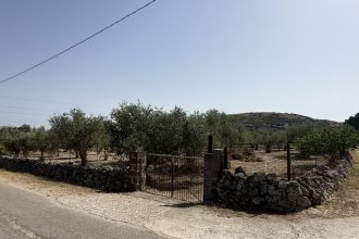 Terreno agricolo in vendita, Florinas  SS  Italia, Florinas