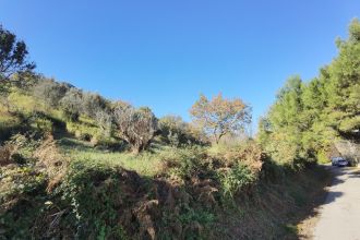Terreno agricolo in vendita, Caraffa di Catanzaro  CZ  Italia, Caraffa Di Catanzaro