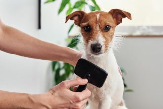 Attività / Licenza in vendita, Saletto, Cadoneghe