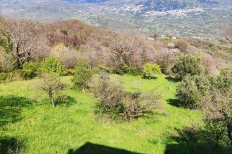 Terreno agricolo in vendita, via S. Elena  36, Trecchina