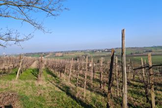 Terreno agricolo in vendita, frazione camporello 5, San Damiano Al Colle