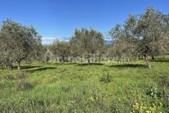 Terreno agricolo in vendita, Contrada Santa Lucia, Cerrelli, Altavilla Silentina