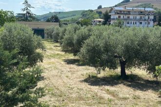 Terreno industriale o artigianale in vendita, via Delle Masserie, Castiglione Messer Raimondo
