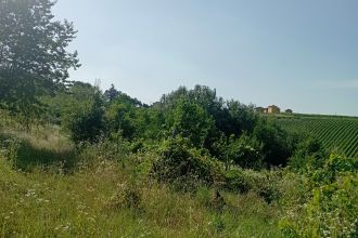 Terreno agricolo in vendita, Frazione Camporello 7/8, San Damiano Al Colle