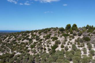 Terreno agricolo in vendita, Loc Santa Barbara, Sorso