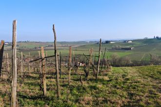 Cascina in vendita, FRAZIONE CAMPORELLO 5, San Damiano Al Colle